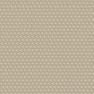 Anderson Tuftex Carpet Havencrest Basalt 00221_ZZ318