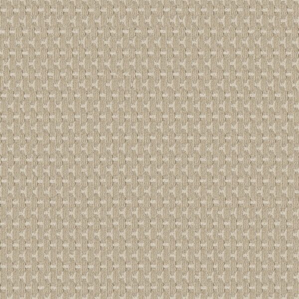 Anderson Tuftex Carpet Havencrest Basalt 00221_ZZ318