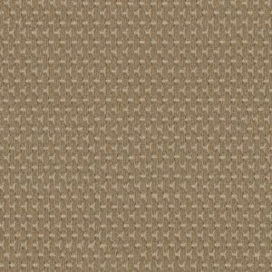 Anderson Tuftex Carpet Havencrest Amber 00233_ZZ318