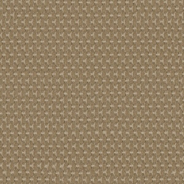 Anderson Tuftex Carpet Havencrest Amber 00233_ZZ318