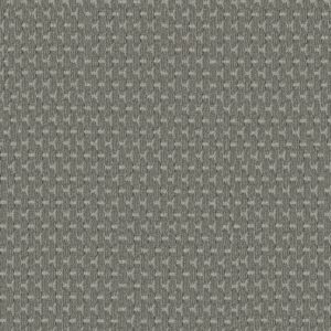 Anderson Tuftex Carpet Havencrest Nickel 00553_ZZ318