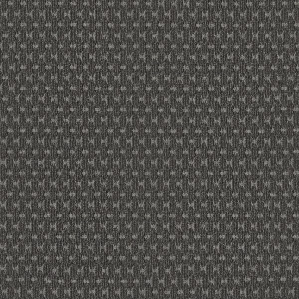 Anderson Tuftex Carpet Havencrest Obsidian 00555_ZZ318