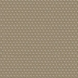 Anderson Tuftex Carpet Havencrest Rattan 00712_ZZ318