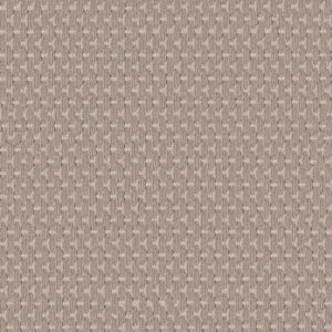 Anderson Tuftex Carpet Havencrest Blossom 00881_ZZ318