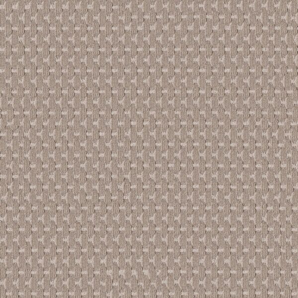 Anderson Tuftex Carpet Havencrest Blossom 00881_ZZ318