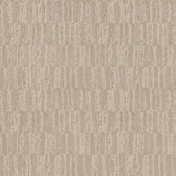Anderson Tuftex Carpet Trace Impala 00113_ZZ319