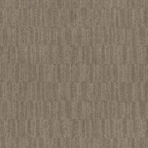 Anderson Tuftex Carpet Trace Driftwood 00575_ZZ319