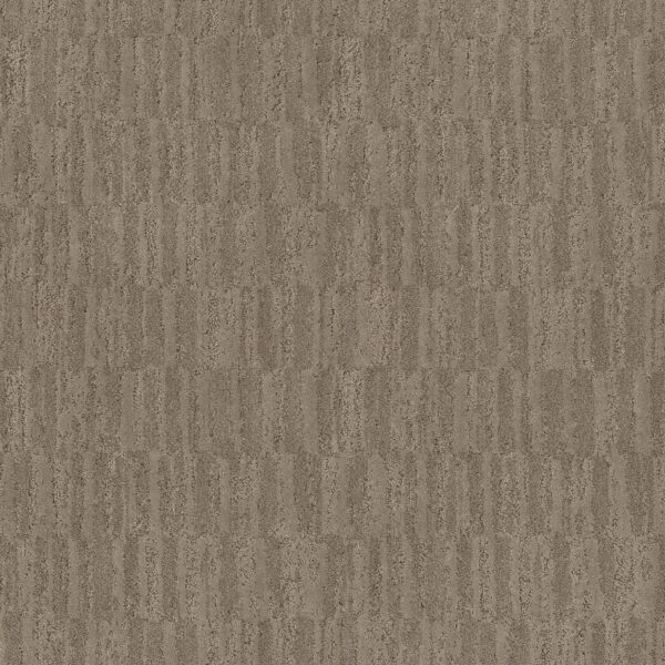Anderson Tuftex Carpet Trace Driftwood 00575_ZZ319