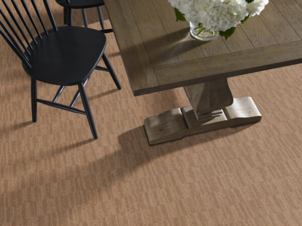 Anderson Tuftex Carpet Trace Terra Cotta 00664_ZZ319 - Image 2