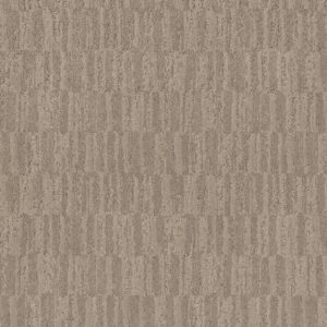 Anderson Tuftex Carpet Trace Canyon 00773_ZZ319