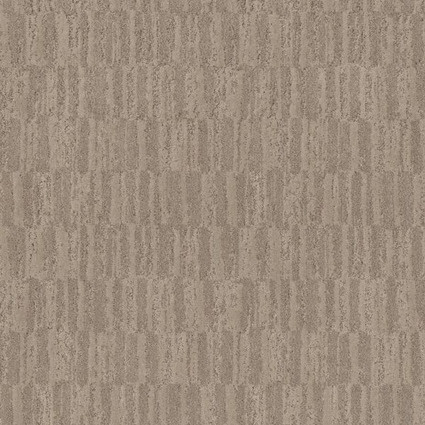 Anderson Tuftex Carpet Trace Canyon 00773_ZZ319