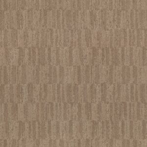 Anderson Tuftex Carpet Trace Woodgrain 00775_ZZ319