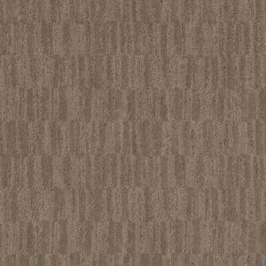 Anderson Tuftex Carpet Trace Boardwalk 00777_ZZ319