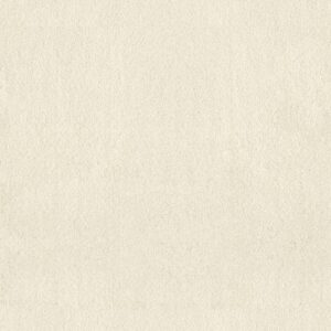 Anderson Tuftex Carpet Luxe Feel I Icelandic 00100_ZZ321