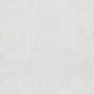 Anderson Tuftex Carpet Luxe Feel I Crisp 00120_ZZ321
