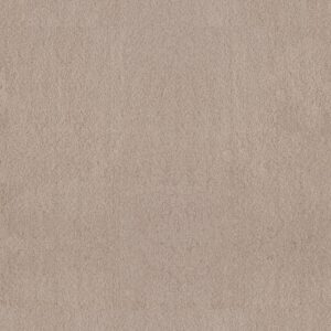 Anderson Tuftex Carpet Luxe Feel I Harvest Moon 00126_ZZ321