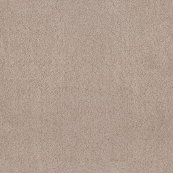 Anderson Tuftex Carpet Luxe Feel I Harvest Moon 00126_ZZ321