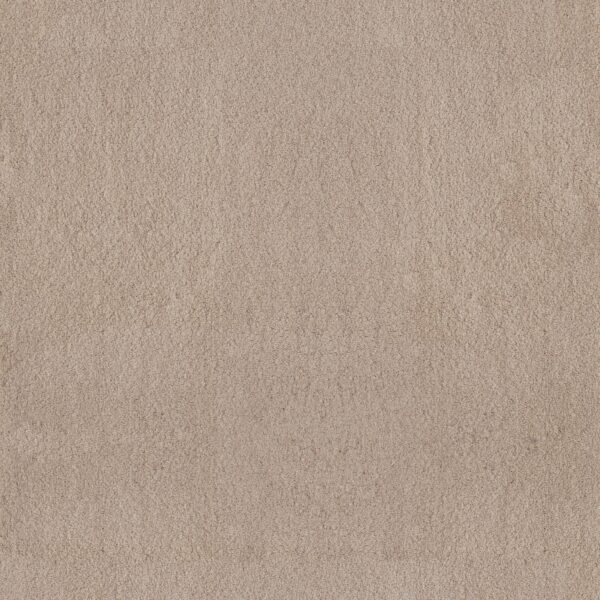 Anderson Tuftex Carpet Luxe Feel I Suede 00127_ZZ321