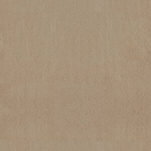 Anderson Tuftex Carpet Luxe Feel I Gentle Doe 00128_ZZ321