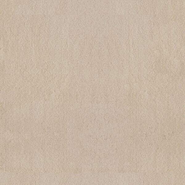 Anderson Tuftex Carpet Luxe Feel I Sunlit 00141_ZZ321