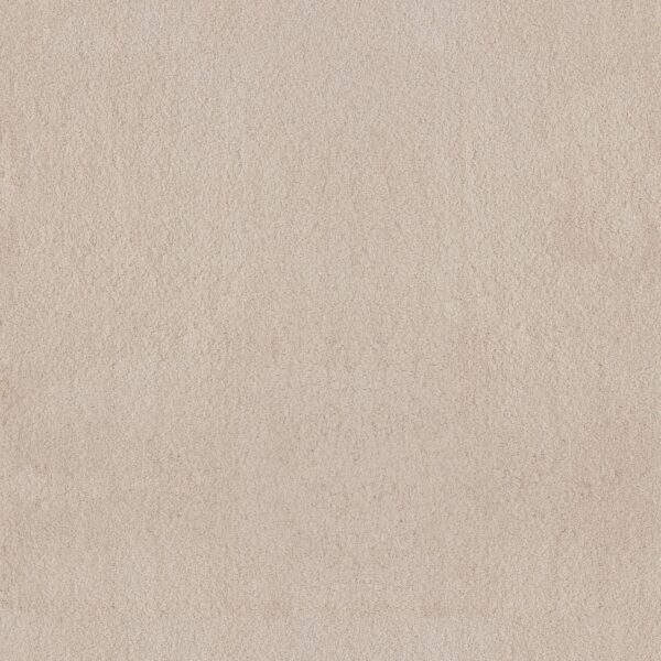 Anderson Tuftex Carpet Luxe Feel I Neutral Ground 00142_ZZ321