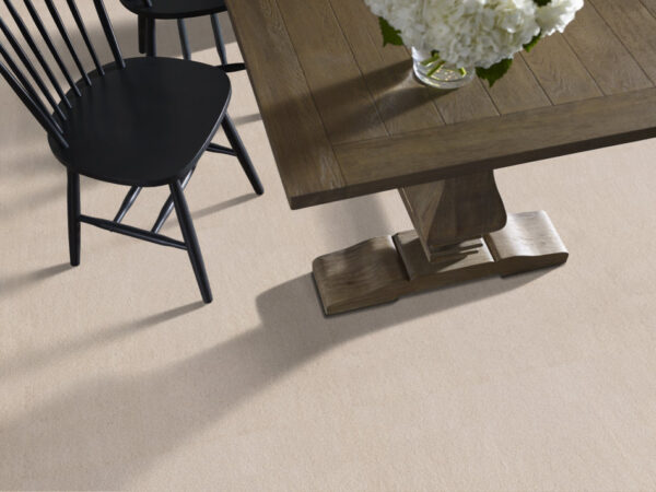 Anderson Tuftex Carpet Luxe Feel I Neutral Ground 00142_ZZ321 - Image 2