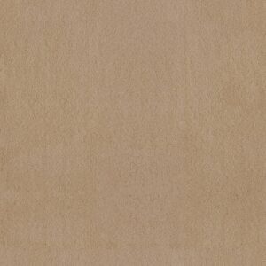 Anderson Tuftex Carpet Luxe Feel I Manilla 00221_ZZ321