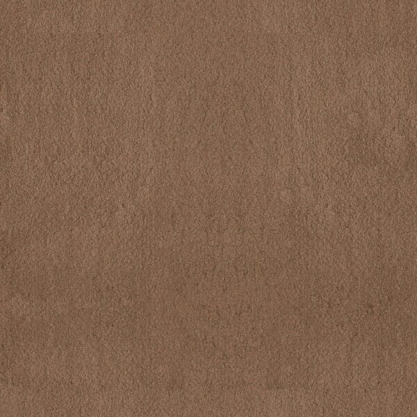 Anderson Tuftex Carpet Luxe Feel I Radiance 00240_ZZ321