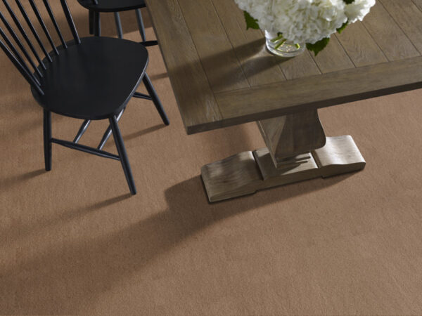 Anderson Tuftex Carpet Luxe Feel I Radiance 00240_ZZ321 - Image 2