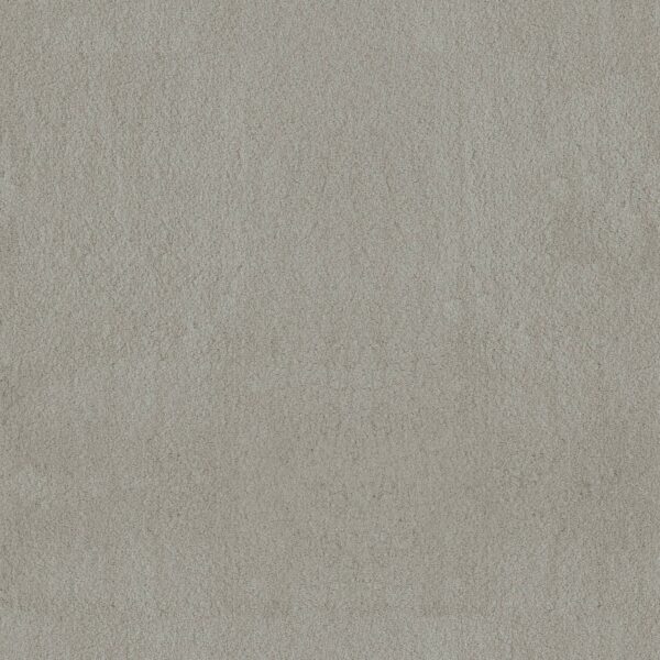 Anderson Tuftex Carpet Luxe Feel I Lemon Grass 00341_ZZ321