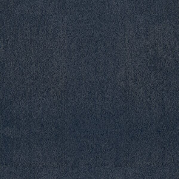 Anderson Tuftex Carpet Luxe Feel I Mariner 00443_ZZ321