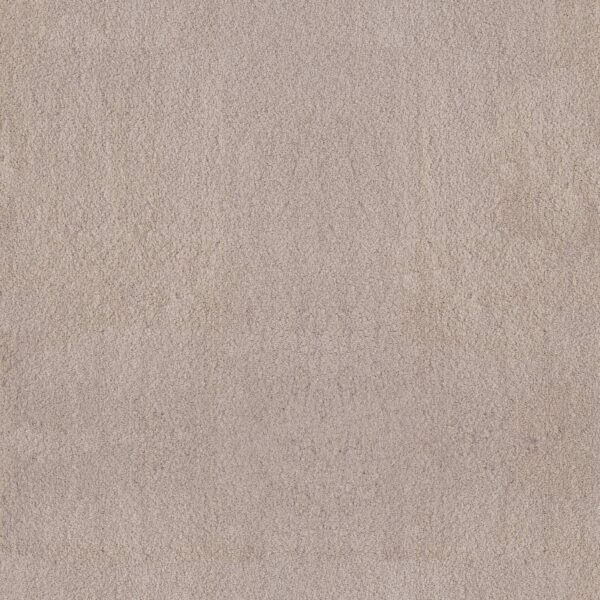 Anderson Tuftex Carpet Luxe Feel I Sterling 00511_ZZ321