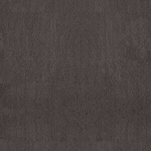 Anderson Tuftex Carpet Luxe Feel I Armory 00529_ZZ321