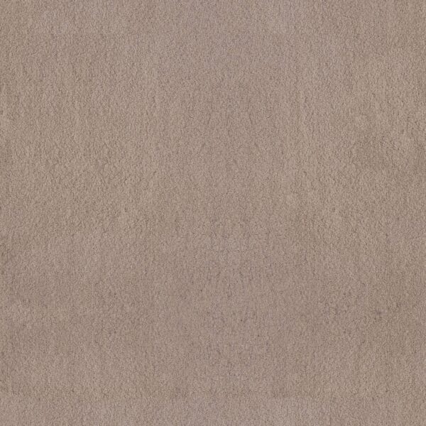 Anderson Tuftex Carpet Luxe Feel I White Pine 00720_ZZ321