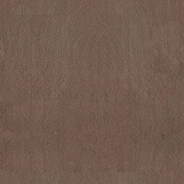 Anderson Tuftex Carpet Luxe Feel I Pebble Path 00722_ZZ321