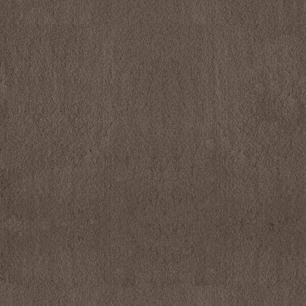 Anderson Tuftex Carpet Luxe Feel I Mesquite 00724_ZZ321