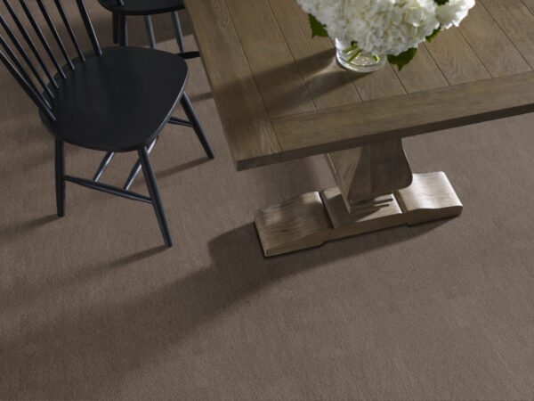 Anderson Tuftex Carpet Luxe Feel I Mesquite 00724_ZZ321 - Image 2