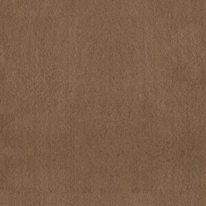 Anderson Tuftex Carpet Luxe Feel I Dried Chamomile 00740_ZZ321