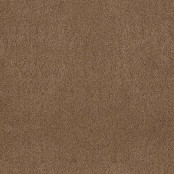 Anderson Tuftex Carpet Luxe Feel I Dried Chamomile 00740_ZZ321