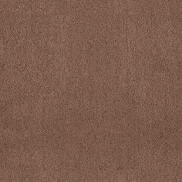 Anderson Tuftex Carpet Luxe Feel I Sugar Maple 00741_ZZ321