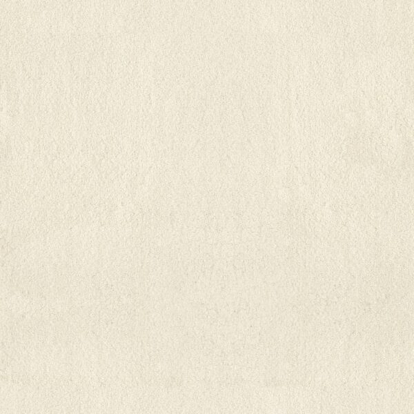 Anderson Tuftex Carpet Luxe Feel Ii Icelandic 00100_ZZ322