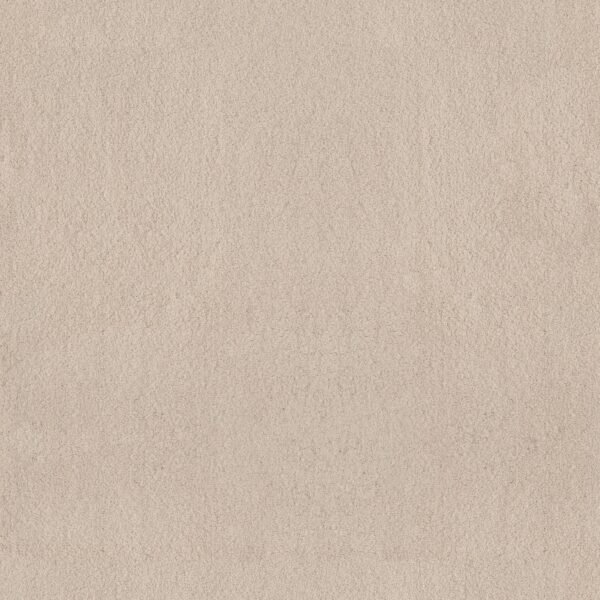 Anderson Tuftex Carpet Luxe Feel Ii Heirloom 00122_ZZ322