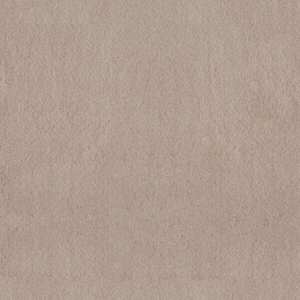 Anderson Tuftex Carpet Luxe Feel Ii Harvest Moon 00126_ZZ322