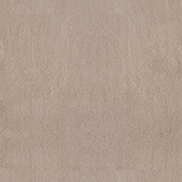 Anderson Tuftex Carpet Luxe Feel Ii Suede 00127_ZZ322