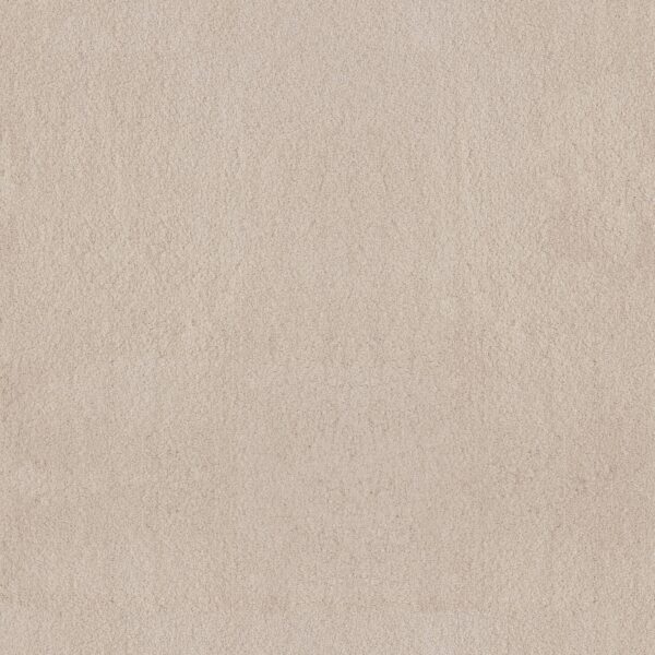 Anderson Tuftex Carpet Luxe Feel Ii Neutral Ground 00142_ZZ322