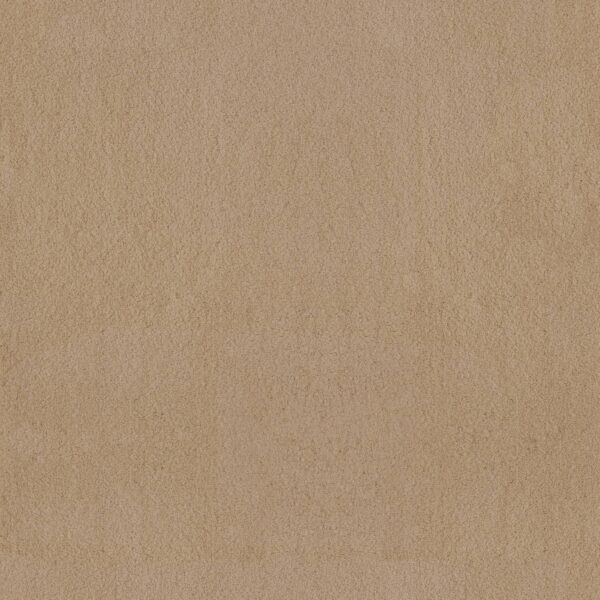 Anderson Tuftex Carpet Luxe Feel Ii Manilla 00221_ZZ322