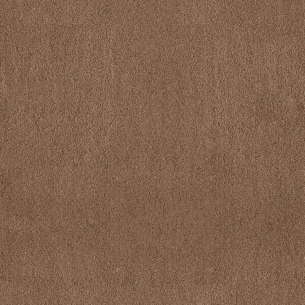 Anderson Tuftex Carpet Luxe Feel Ii Radiance 00240_ZZ322