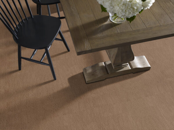 Anderson Tuftex Carpet Luxe Feel Ii Radiance 00240_ZZ322 - Image 2