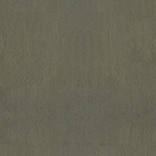 Anderson Tuftex Carpet Luxe Feel Ii Bonsai 00342_ZZ322