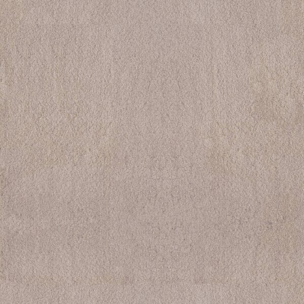 Anderson Tuftex Carpet Luxe Feel Ii Sterling 00511_ZZ322